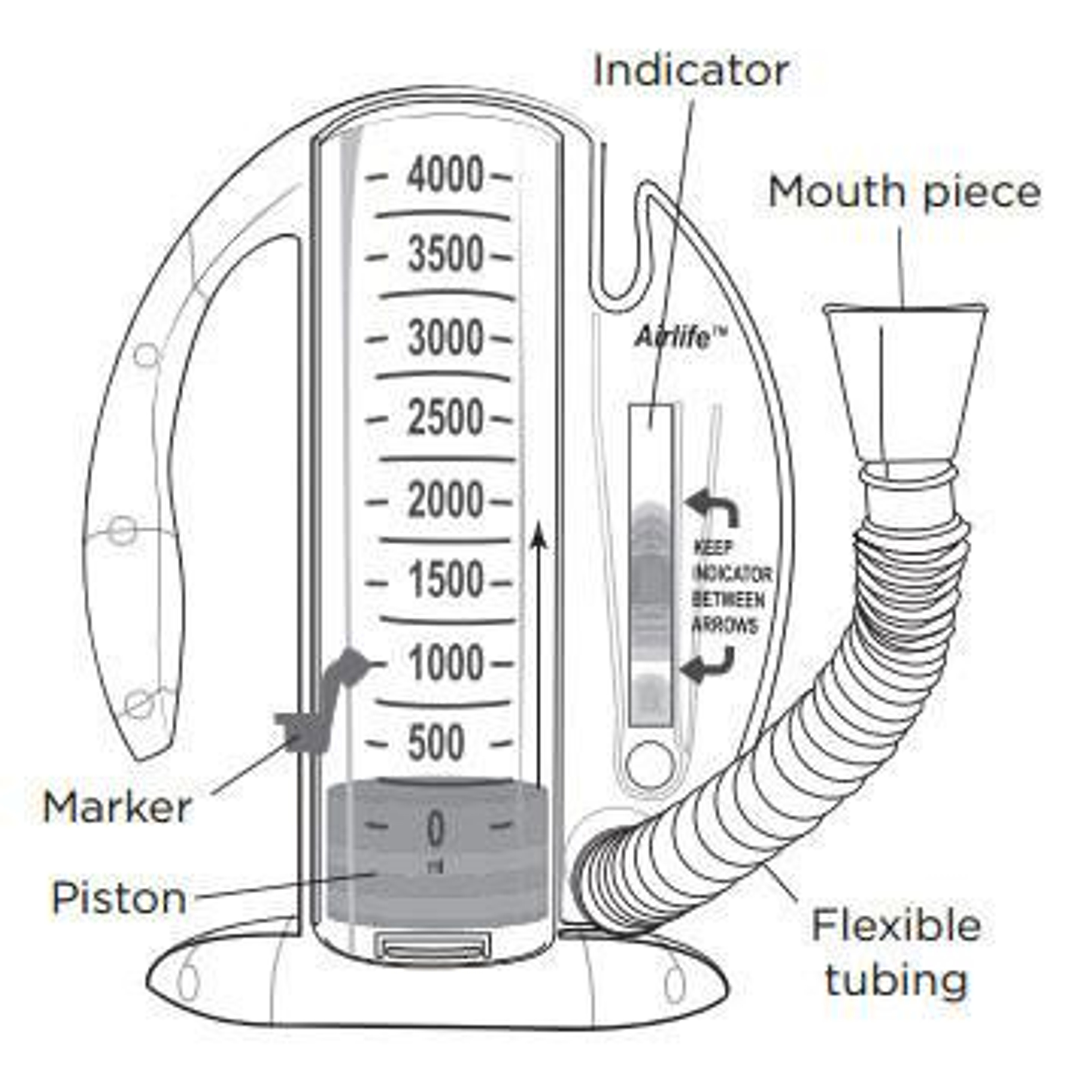 AirLife Spirometer