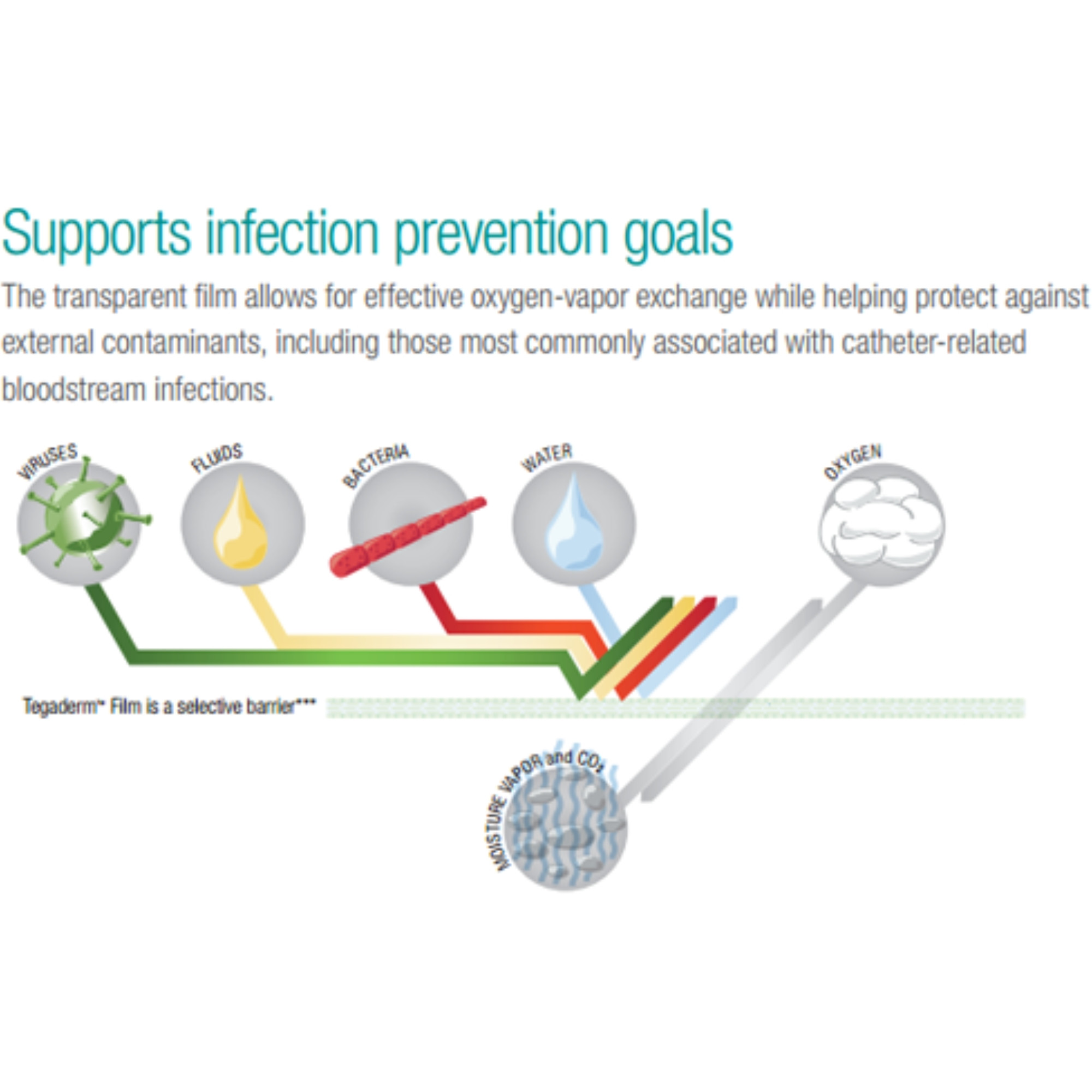 3M Tegaderm with Pad Film Dressing 