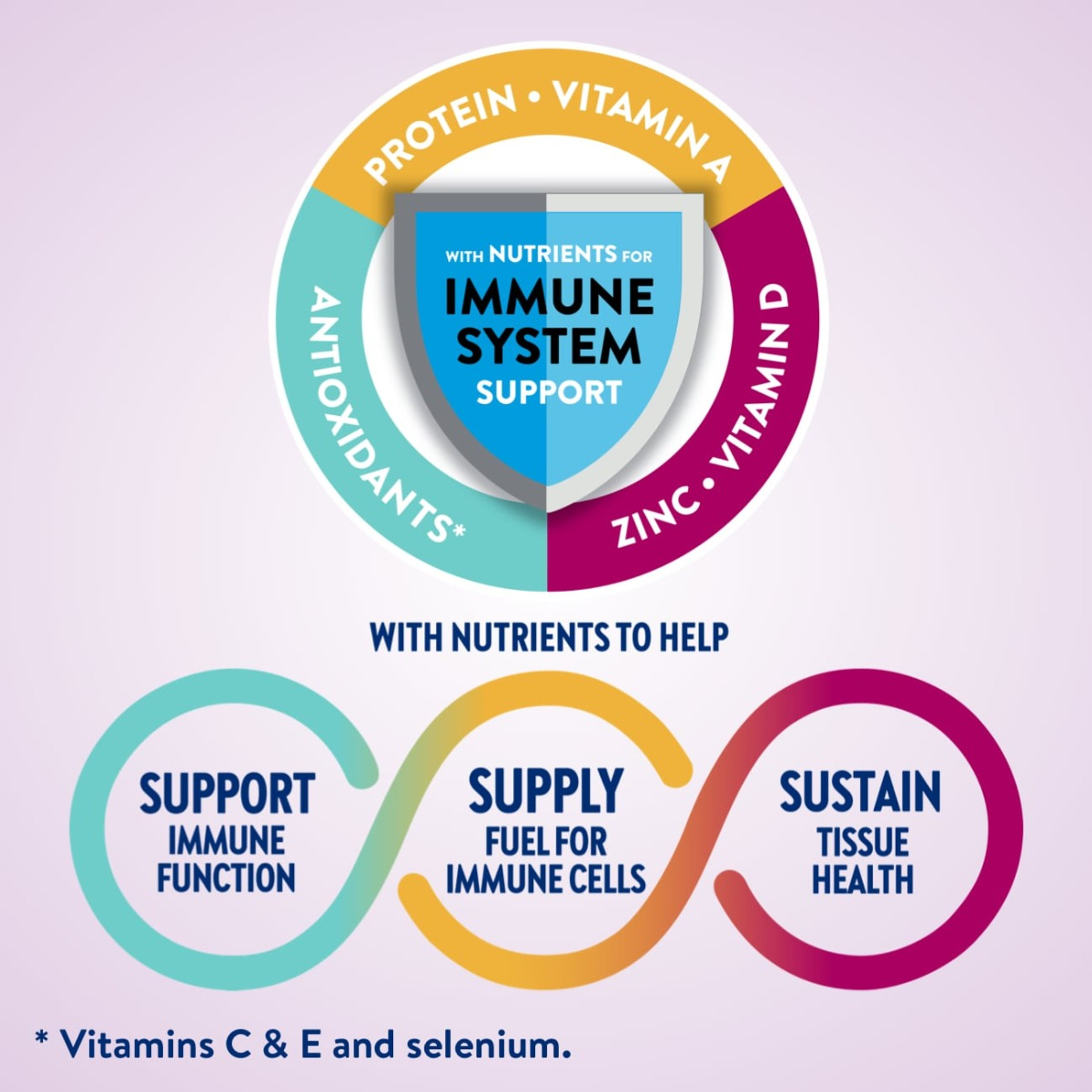Ensure High Protein Nutritional Shake, Bottle
