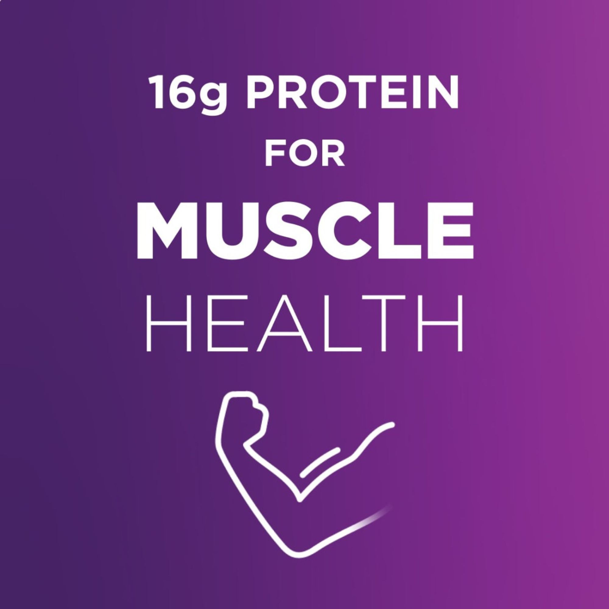 Ensure High Protein Nutritional Shake, Bottle