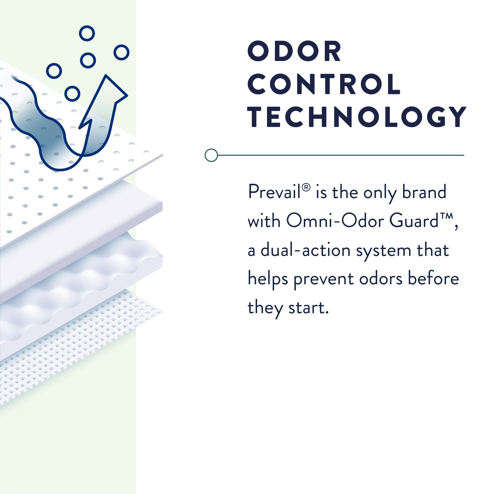 Prevail Overnight Incontinence Underwear for Men & Women