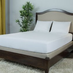 Protect-A-Bed Mattress Cover, Multiple Sizes, BAS0128 -C-FULL, Full - 1 Cover