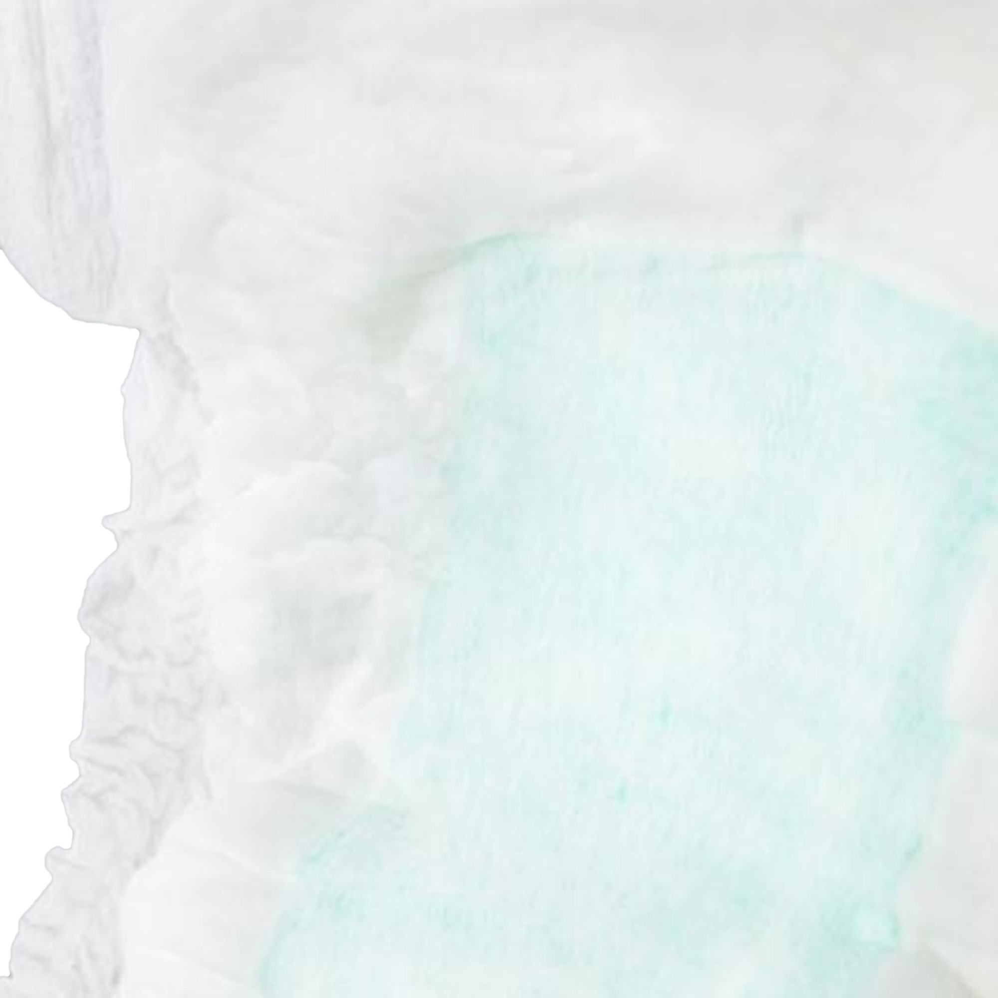 Secure Personal Care Products Maximum Bladder Control Pads