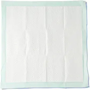 Passport Deluxe Disposable Underpad, Light Absorbency