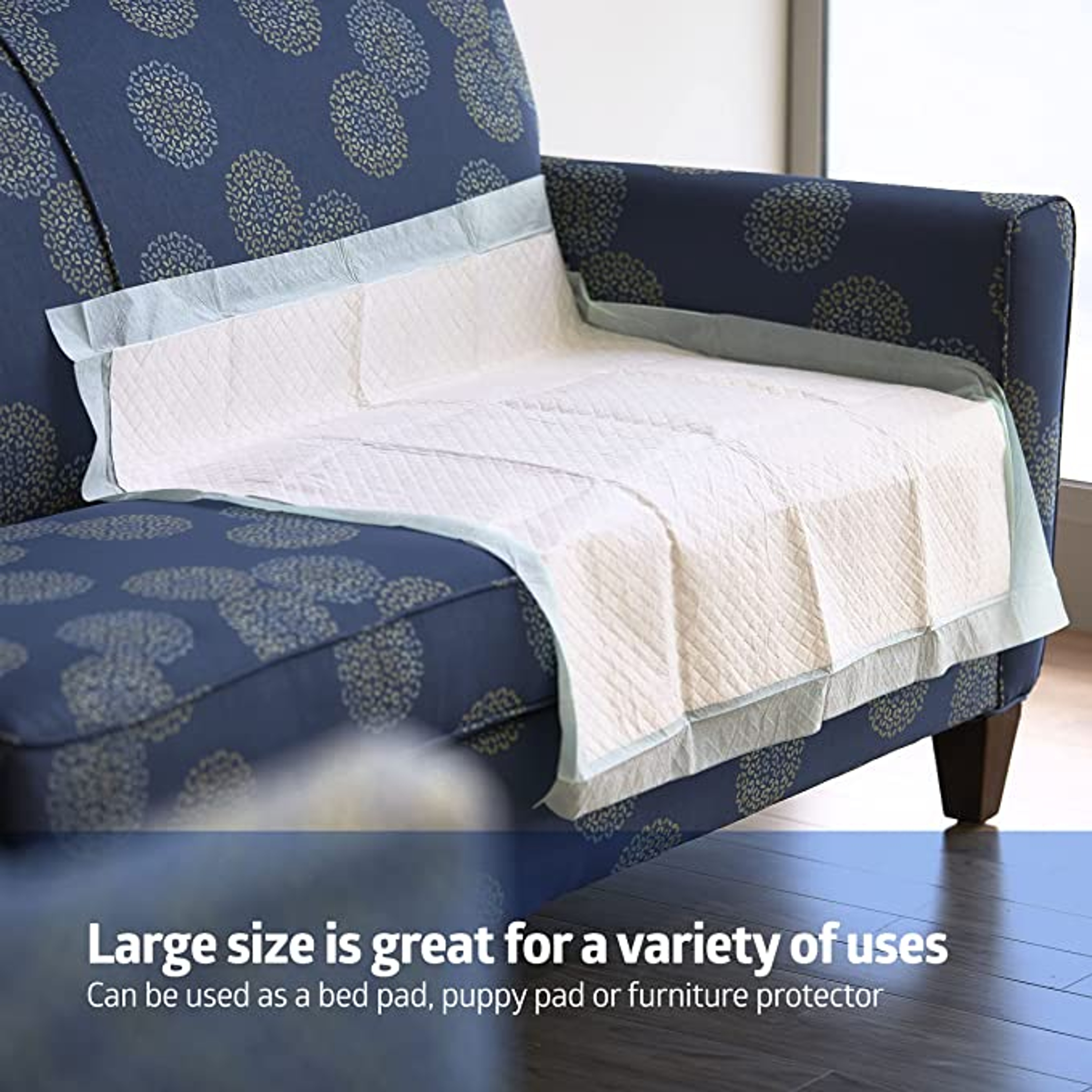 Passport Deluxe Disposable Underpad, Light Absorbency