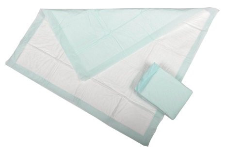Economy Disposable Underpad, Heavy Absorbency, 18346, 23 X 36" - Bag of 25