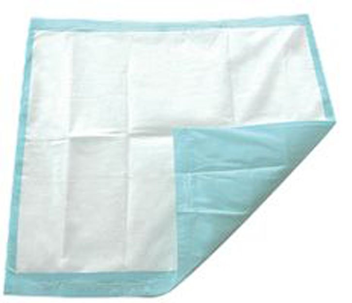TotalDry Disposable Underpad, Light Absorbency, SP113062, 30 X 30" - Bag of 10