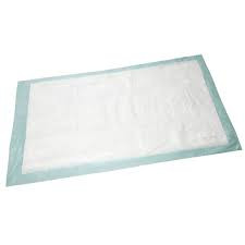 Passport Disposable Underpad, Moderate Absorbency