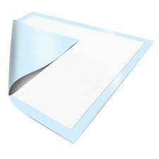 Passport Disposable Underpad, Moderate Absorbency