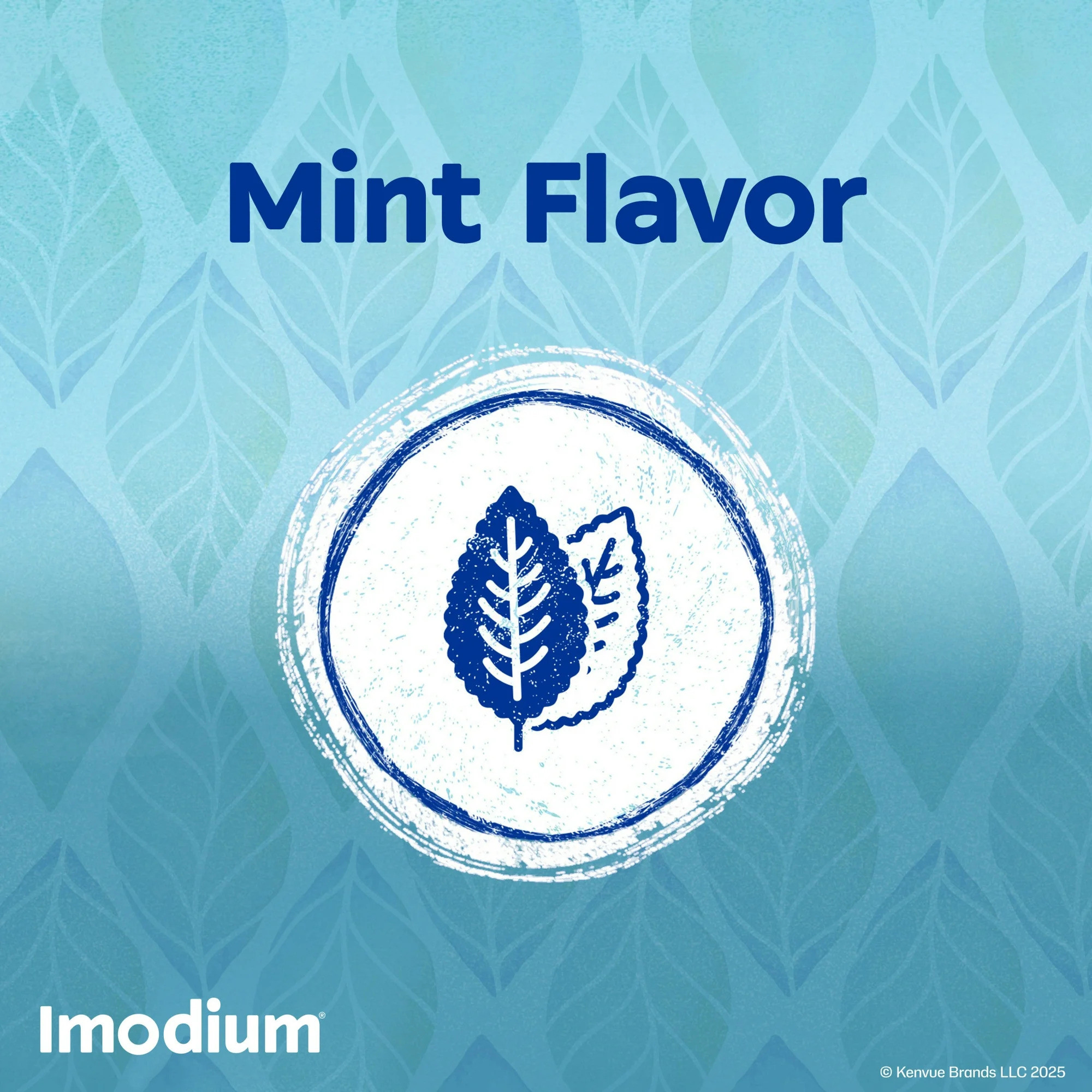 Imodium A-D Anti-Diarrheal, 4 oz., Cool Mint, 30045013404, 1 Each