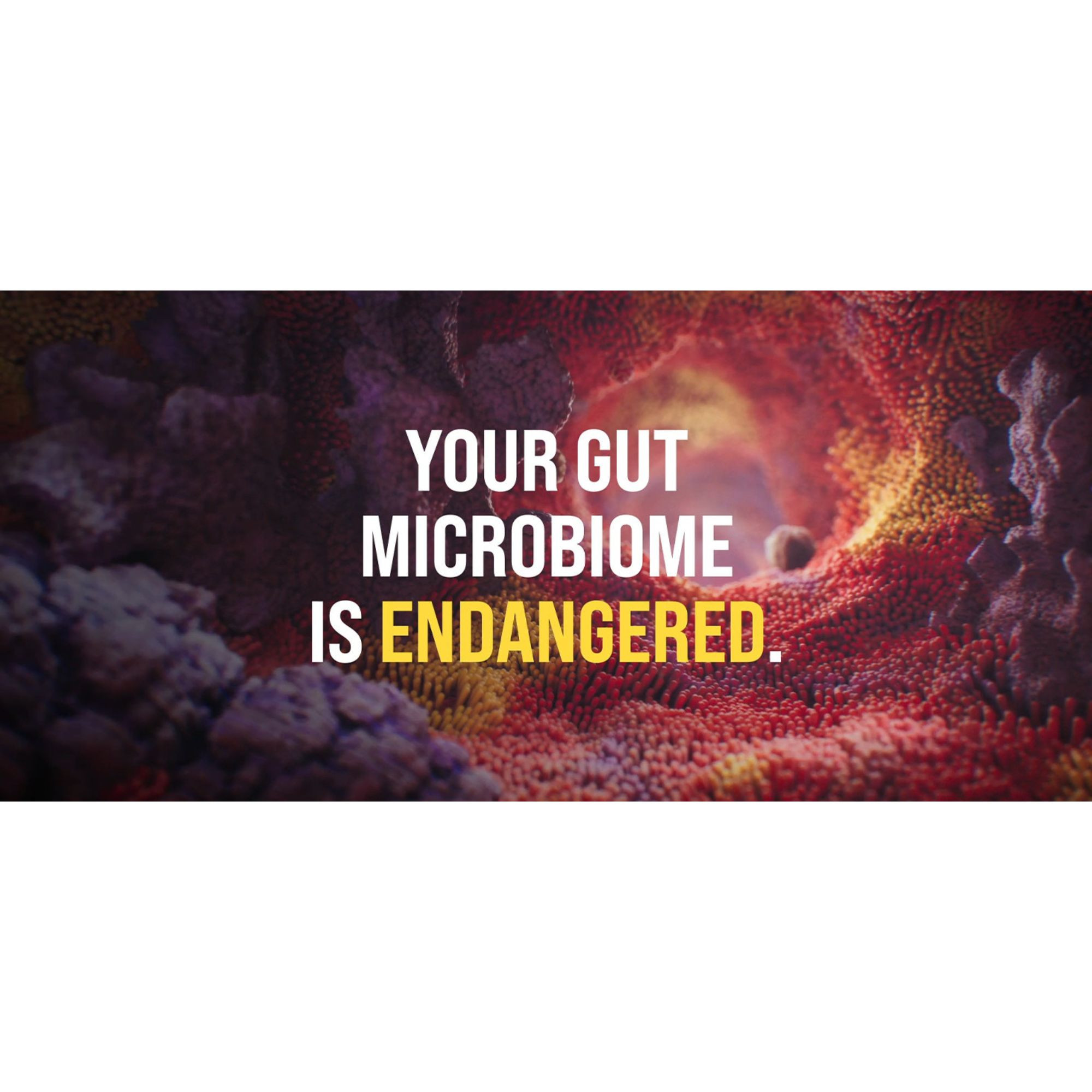 Culturelle Digestive Health Probiotic