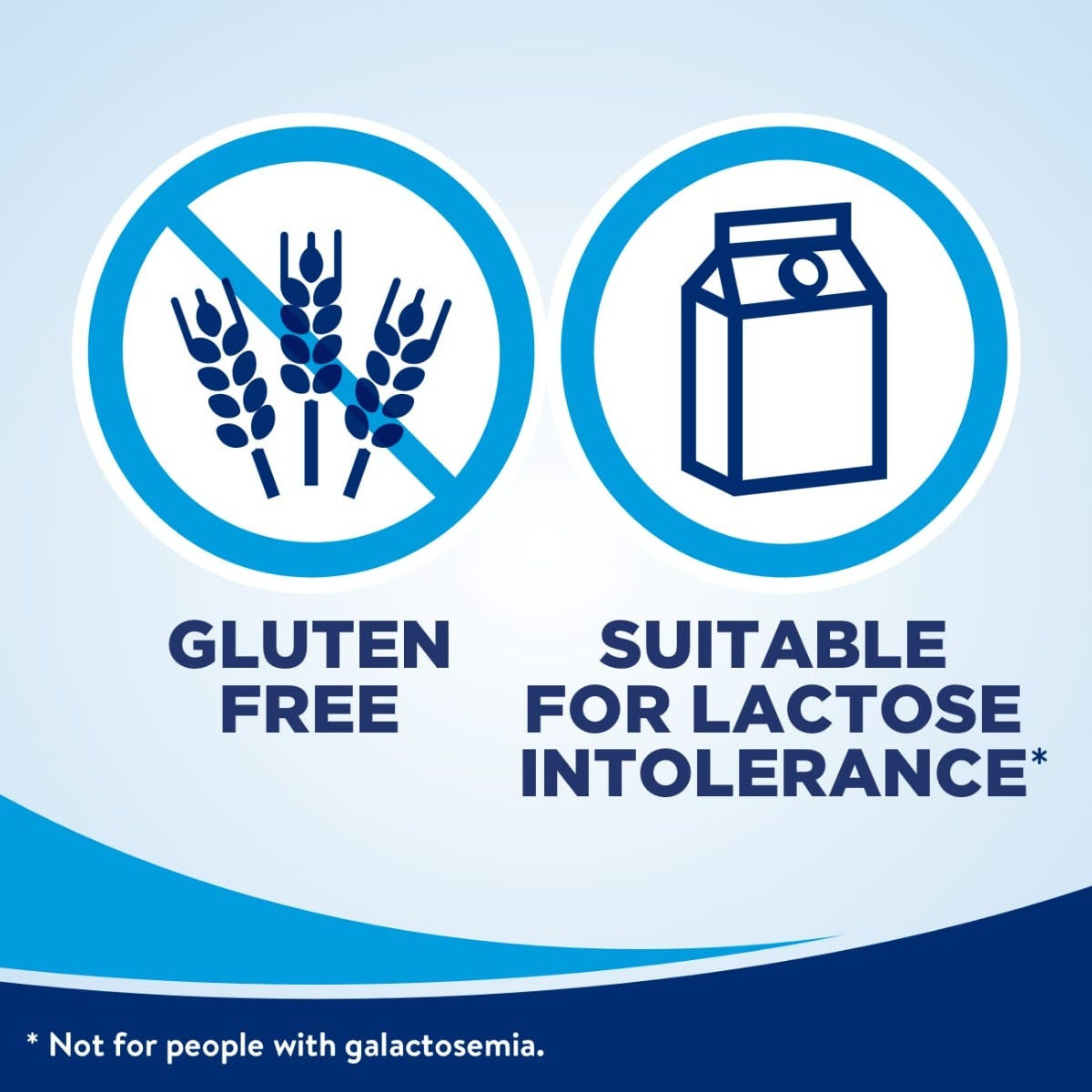 Ensure Original Nutritional Shake, 8 oz., Dark Chocolate