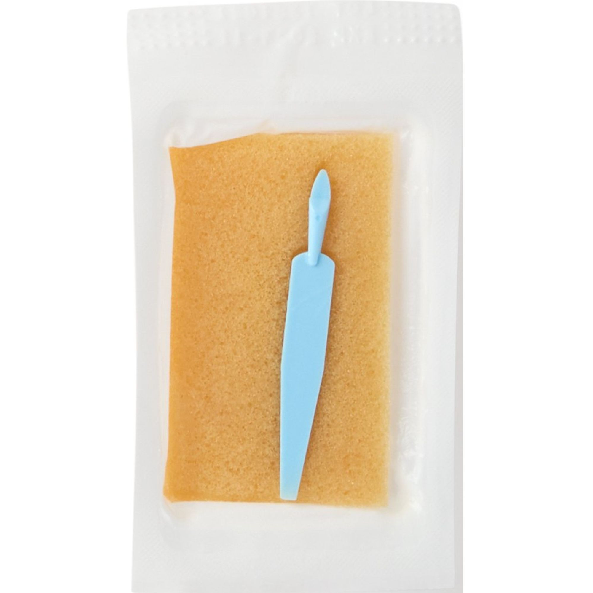 BD E-Z Scrub Impregnated Scrub Brush