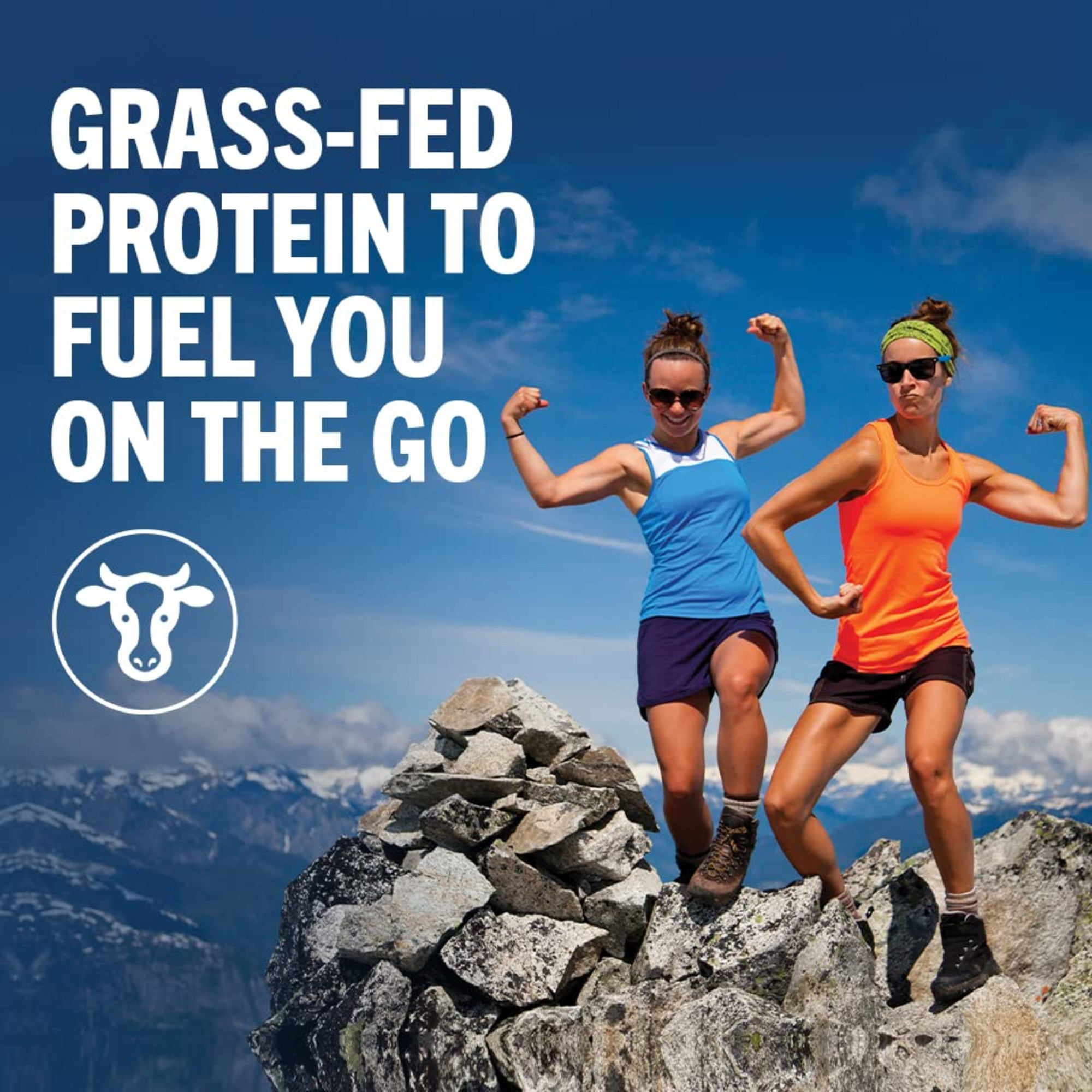 Orgain Organic Nutrition Grass-Fed Protein Shake, Chocolate Fudge