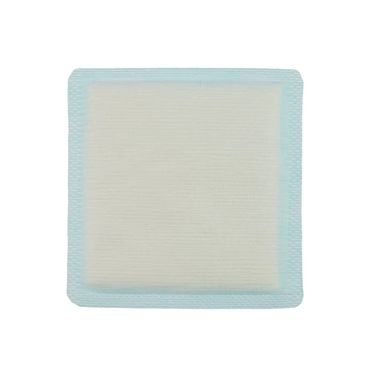 Zetuvit Plus Superabsorbent Dressing, 6 X 8", 413112, 1 Each