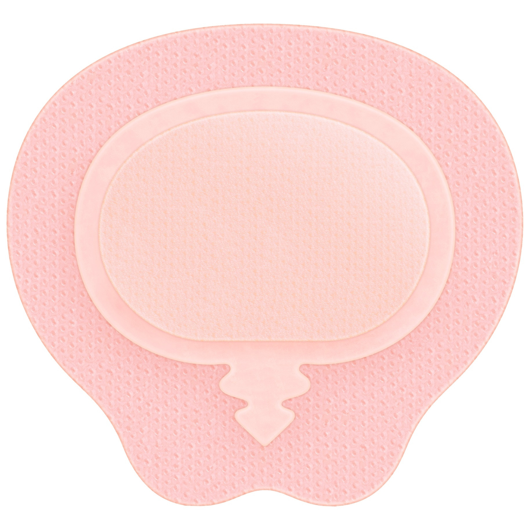 Allevyn Life Silicone Adhesive with Border Silicone Foam Dressing, 6-3/4" x 6-7/8"