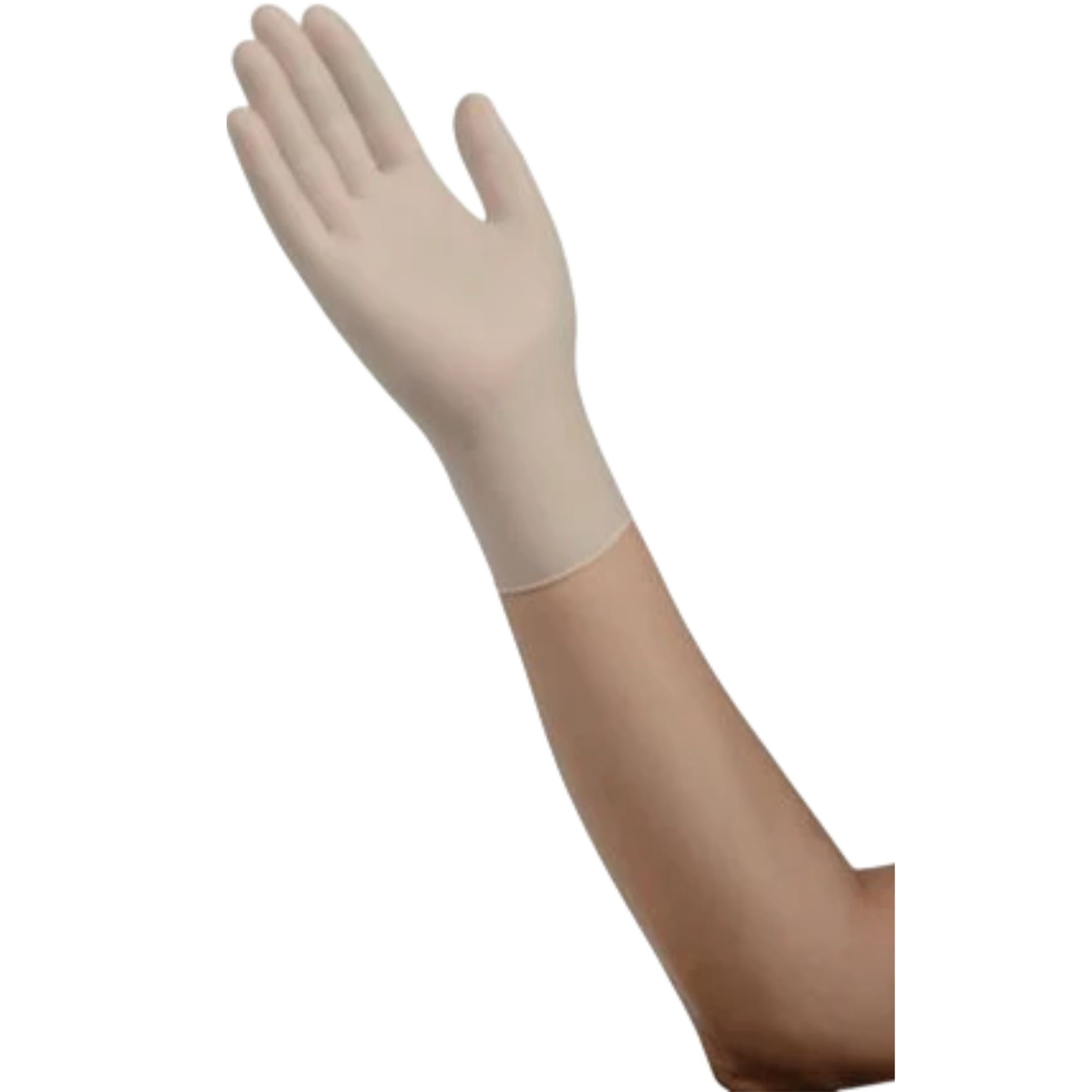Cardinal Health Positive Touch Latex Exam Gloves, Powder-Free