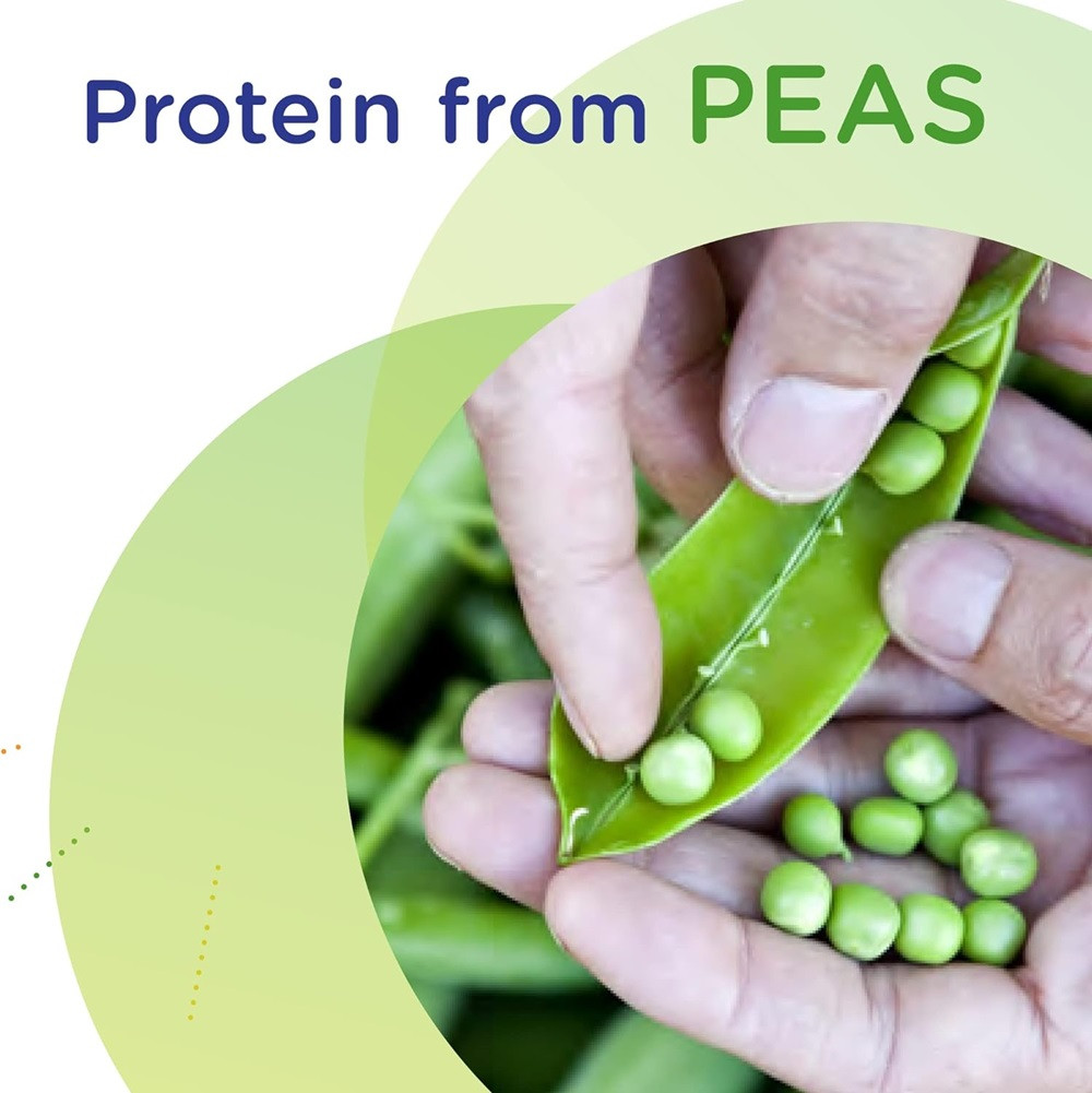 Compleat Pediatric Standard, Vanilla Flavor, 8.45 oz.