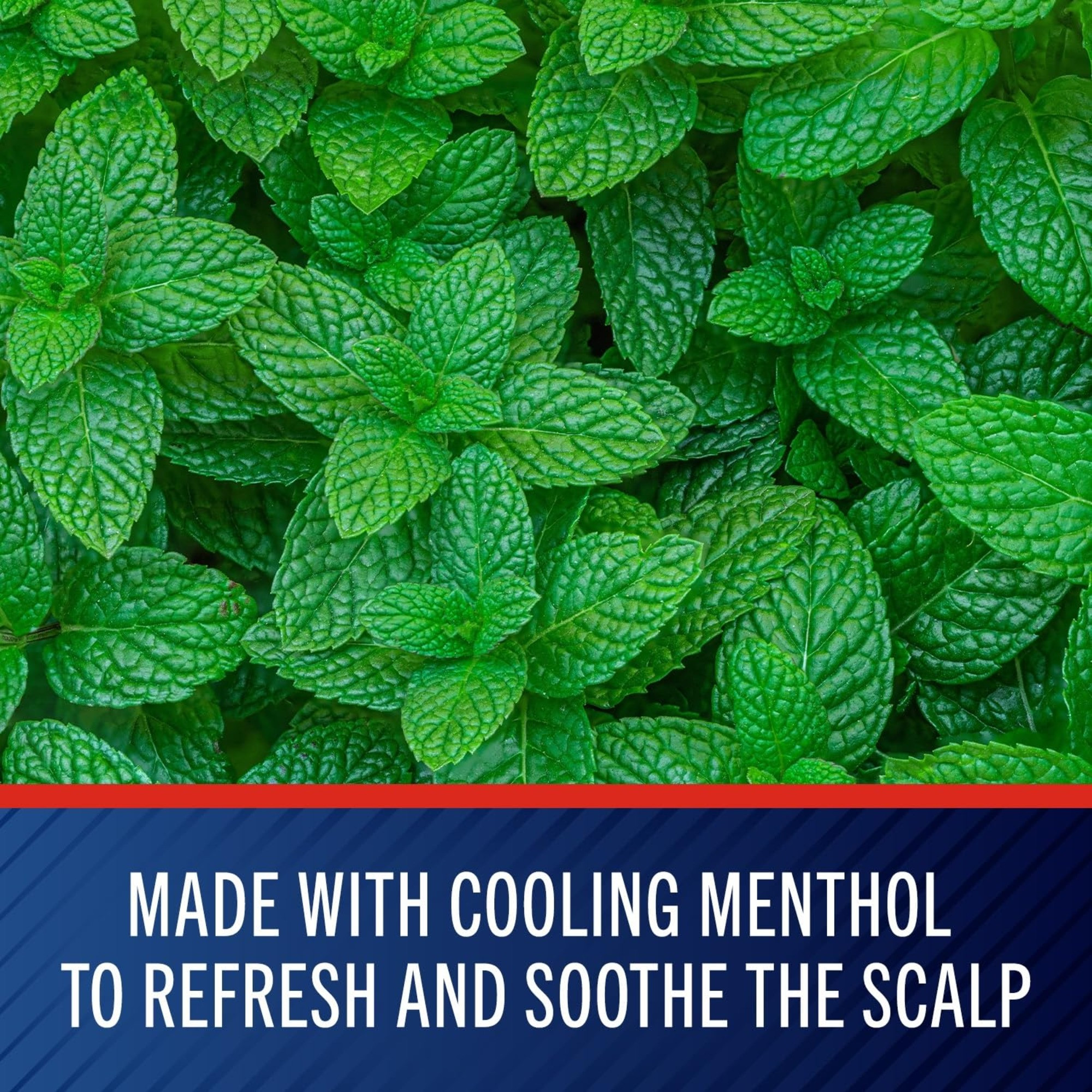 Selsun Blue Dandruff Shampoo