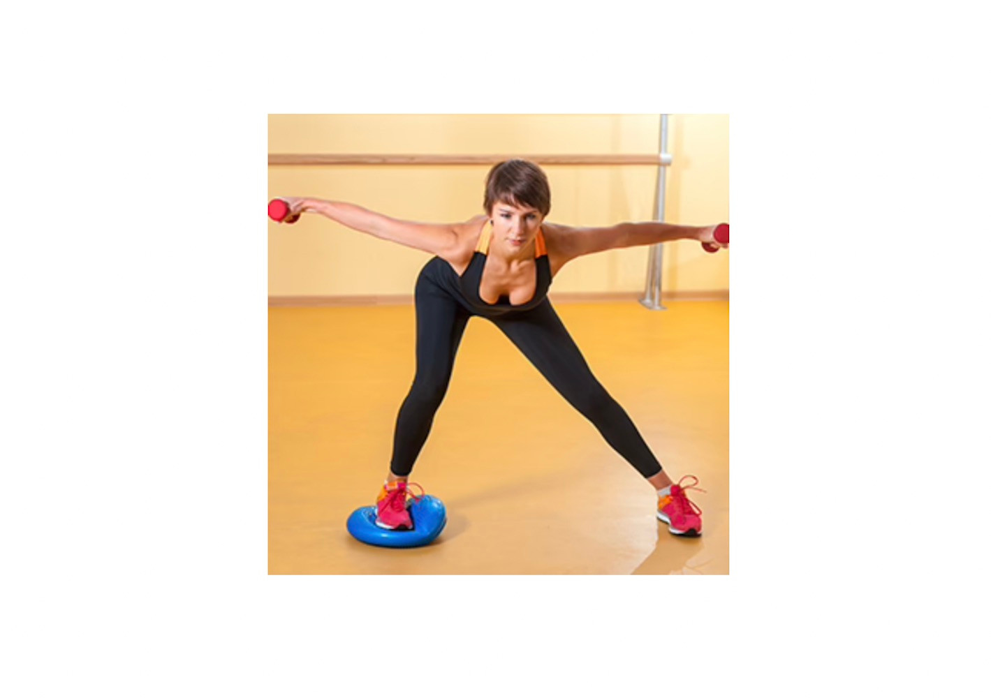 BodySport Balance Disk