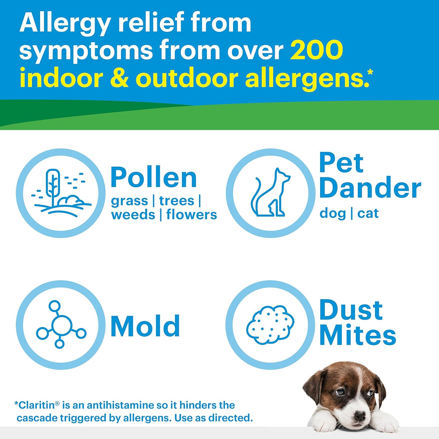 Claritin 24 Hour Allergy Relief RediTabs