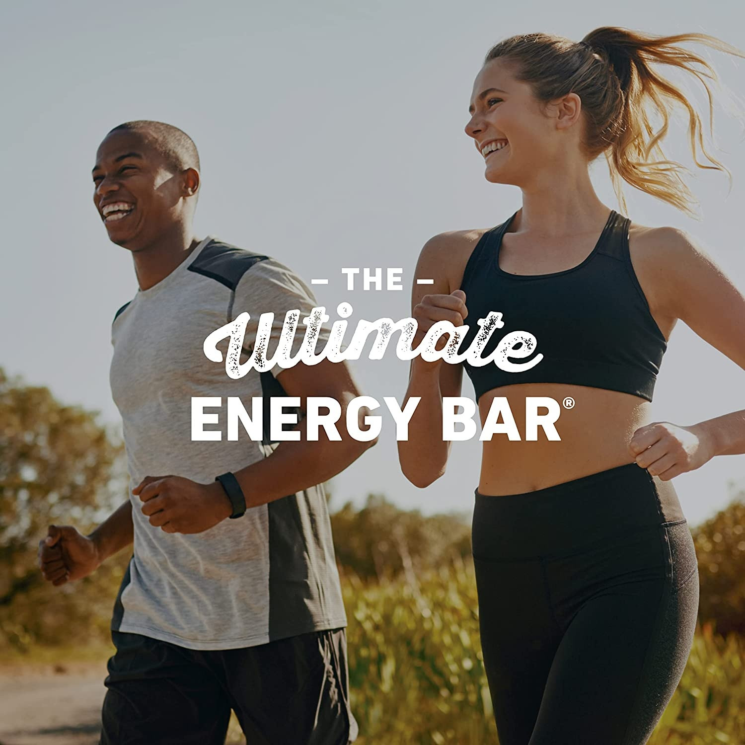 Clif Bar Chocolate Brownie