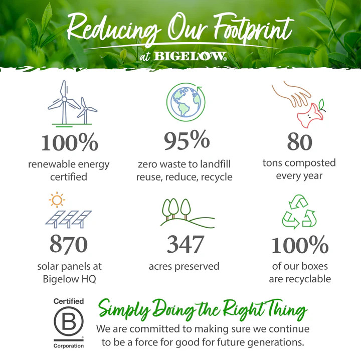 Bigelow Benefits Chamomile & Lavender Herbal Tea