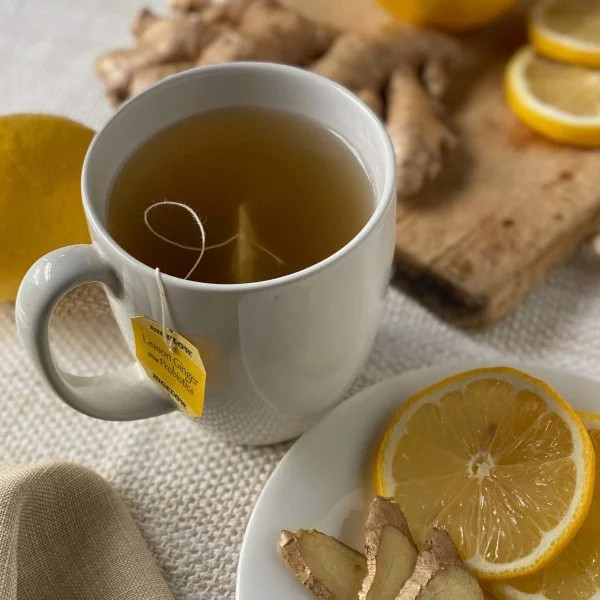 Bigelow Lemon Ginger Tea with Probiotics