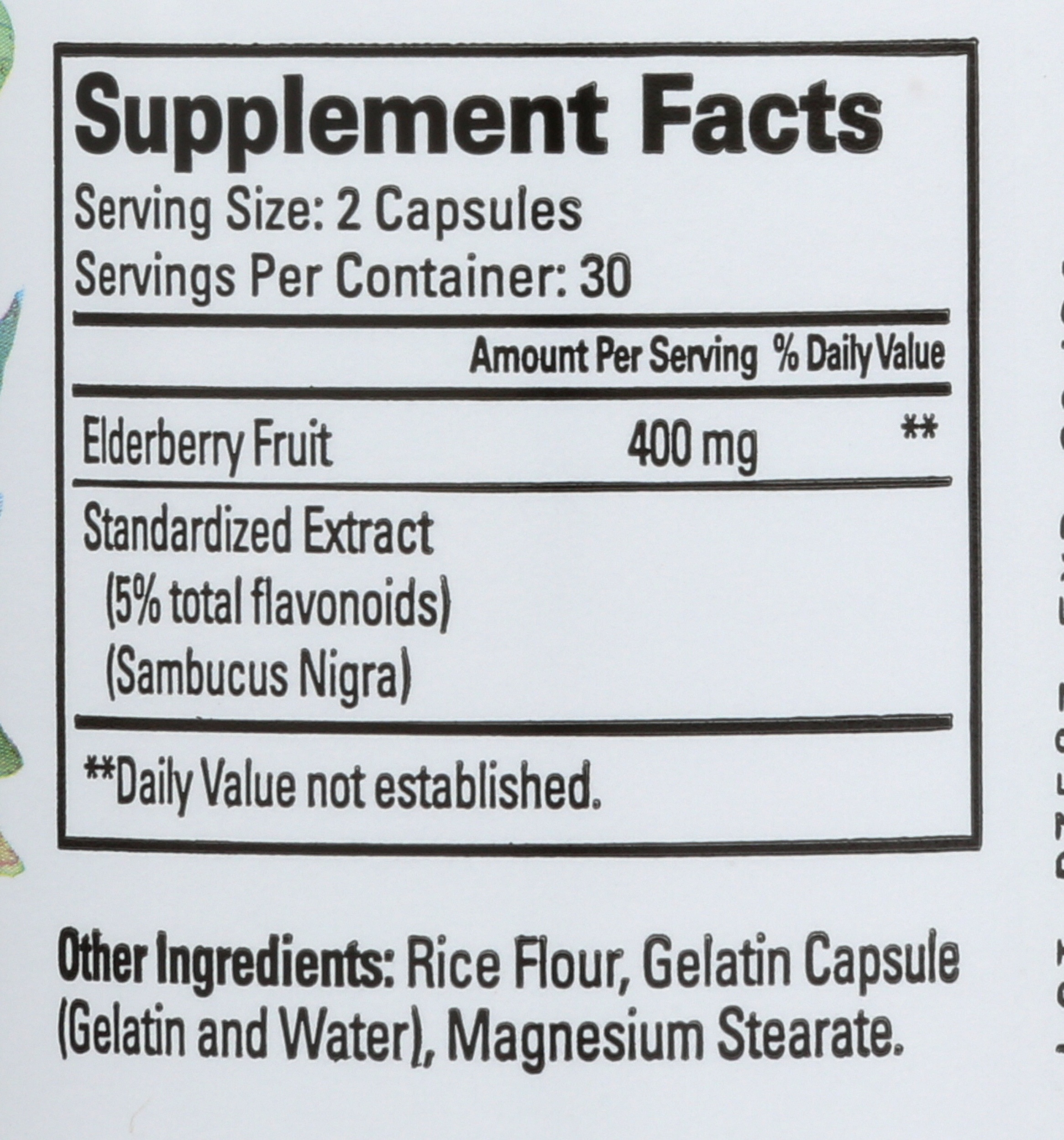 Elderberry Standardized Extract Capsules
