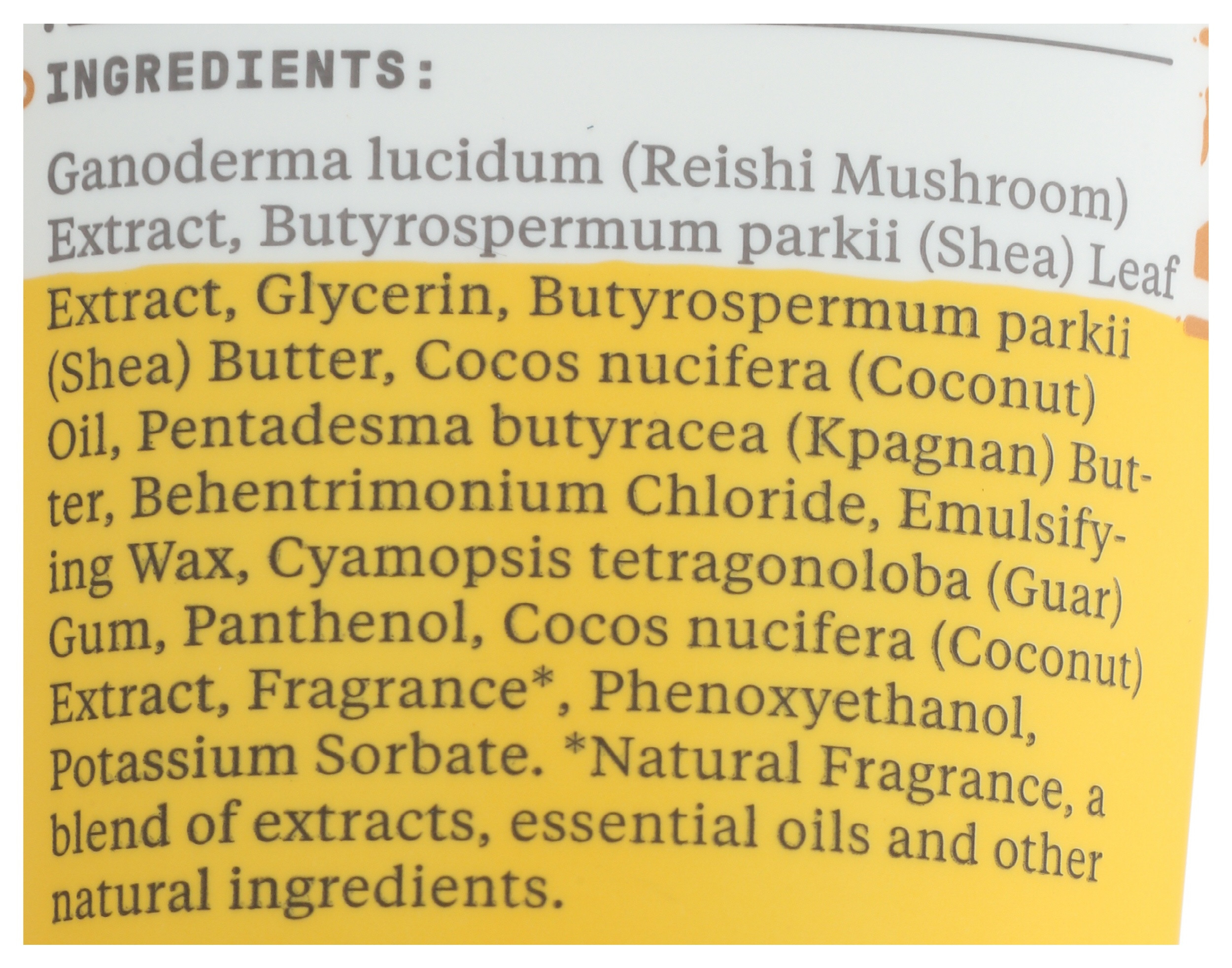 Alaffia Coconut Reishi Nourishing Conditioner