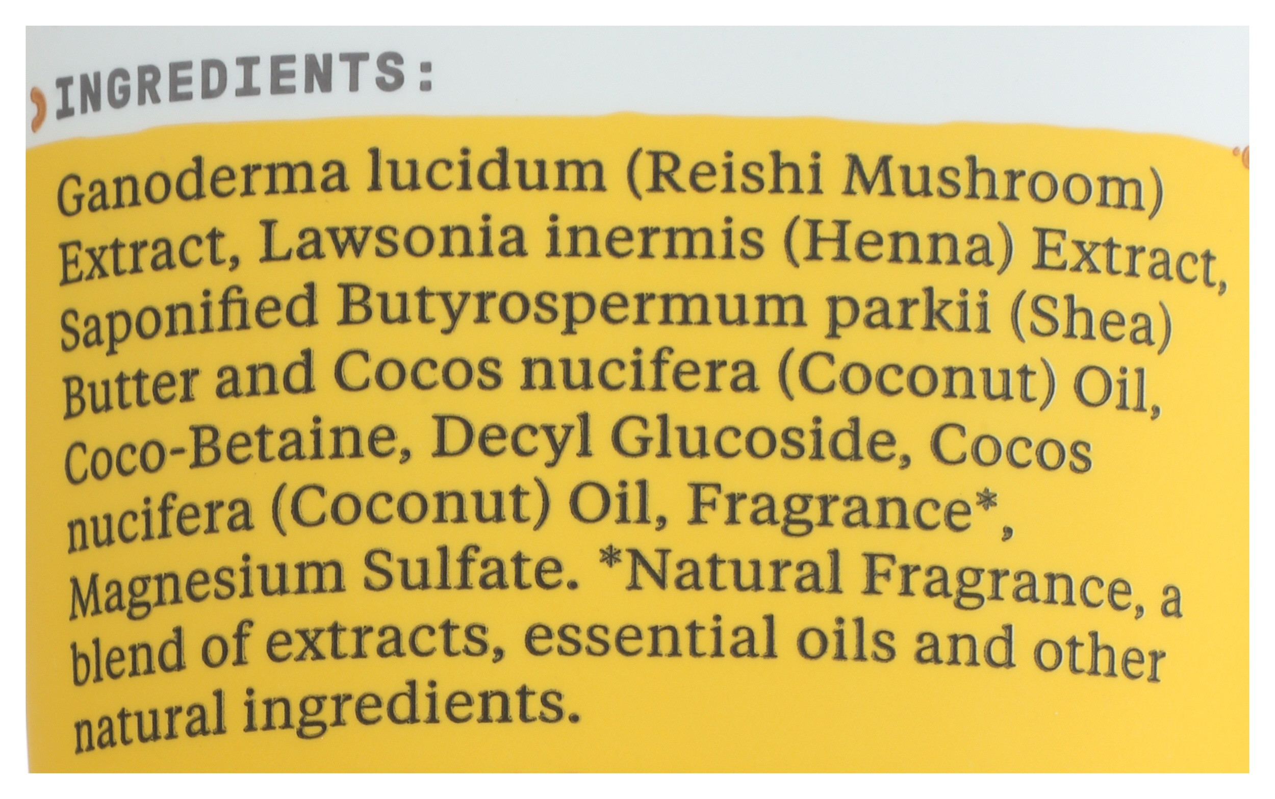 Alaffia Coconut Reishi Nourishing Shampoo