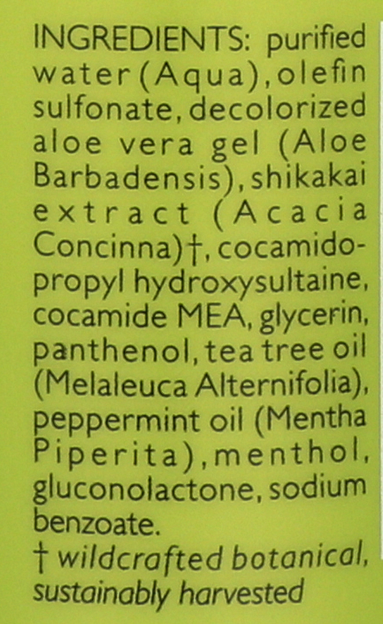 Shikai Tea Tree Shampoo