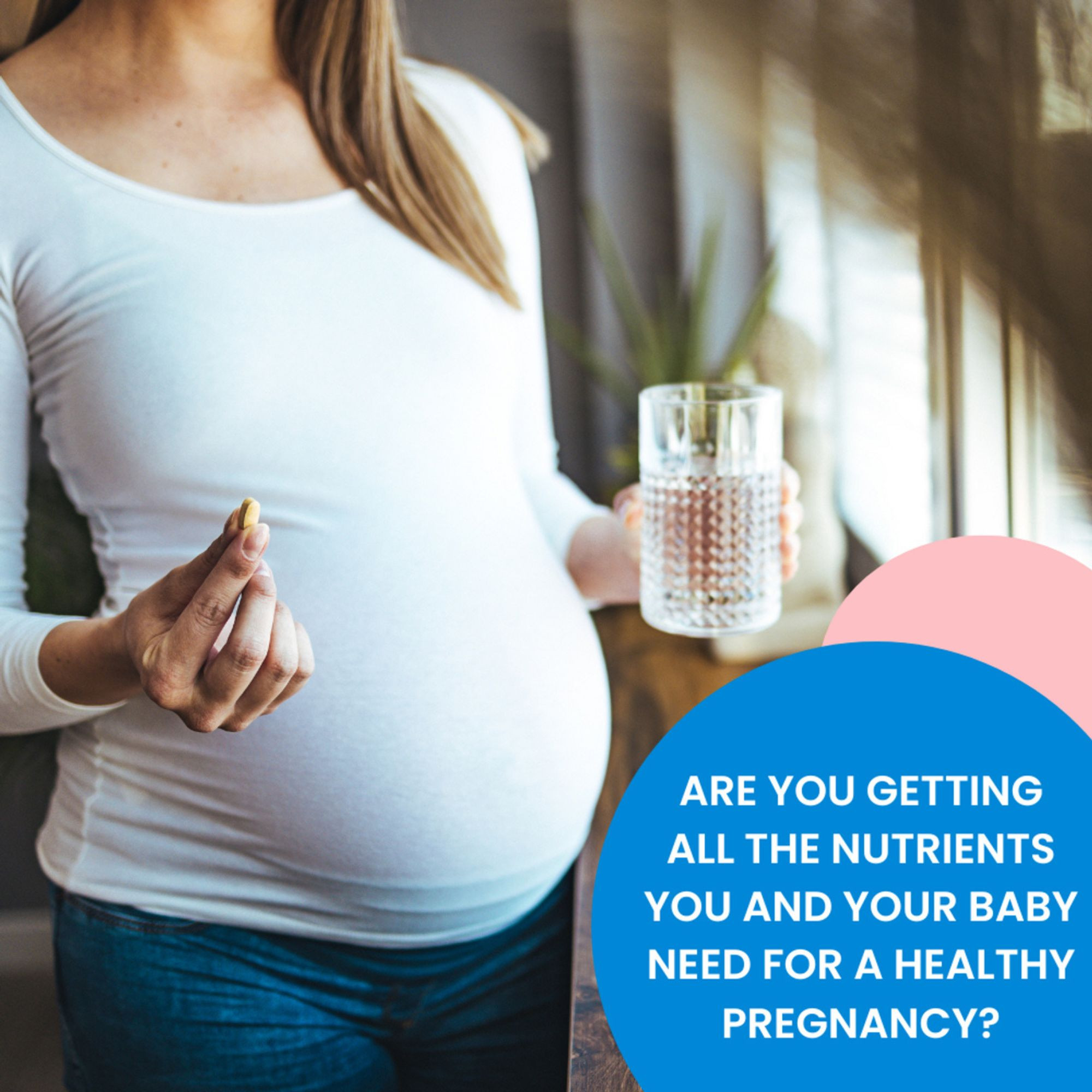Major Pharmaceuticals Prenatal Vitamins