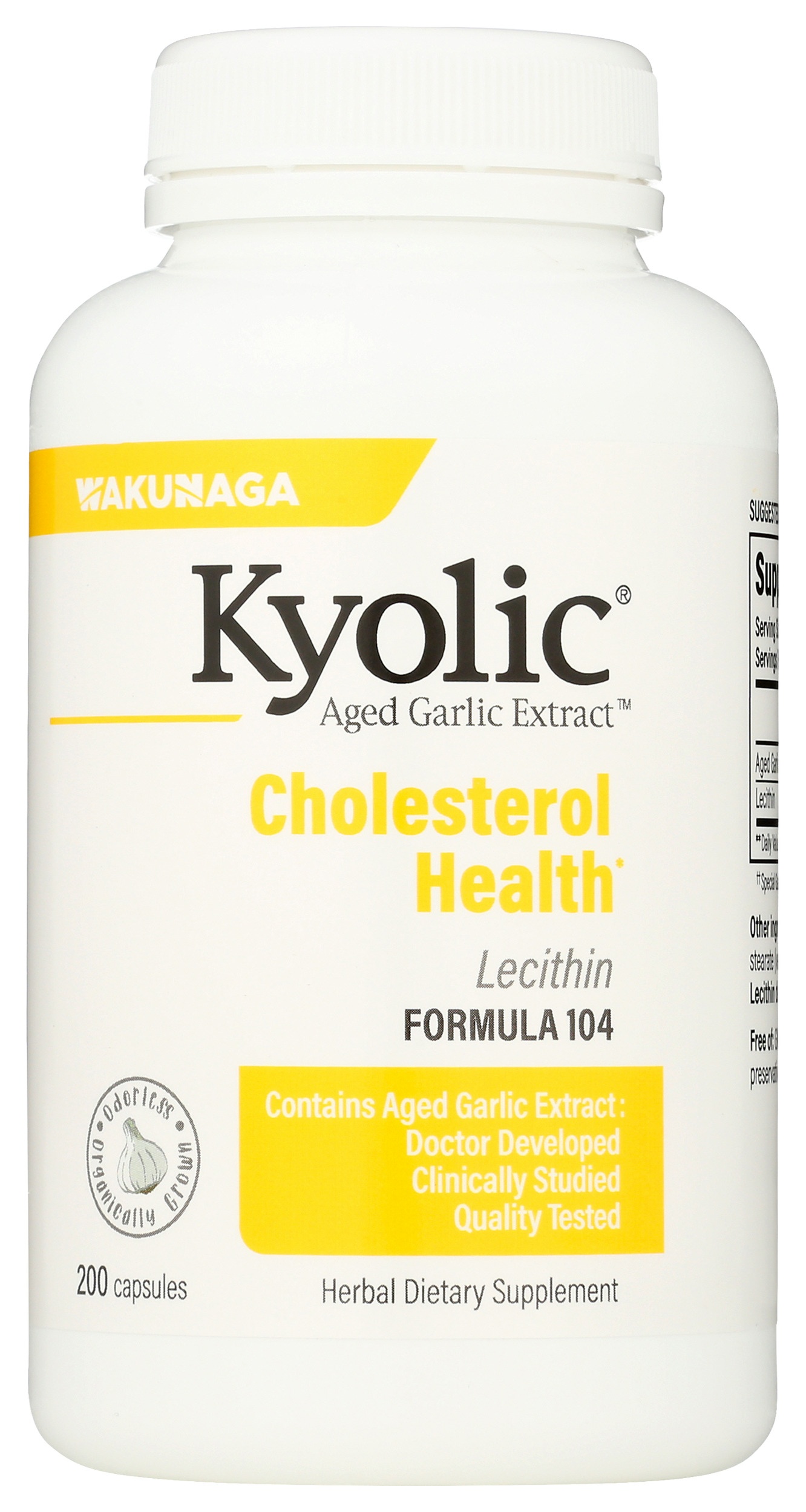 Kyolic Aged Garlic Extract Cholesterol Health Formula 104 Carewell