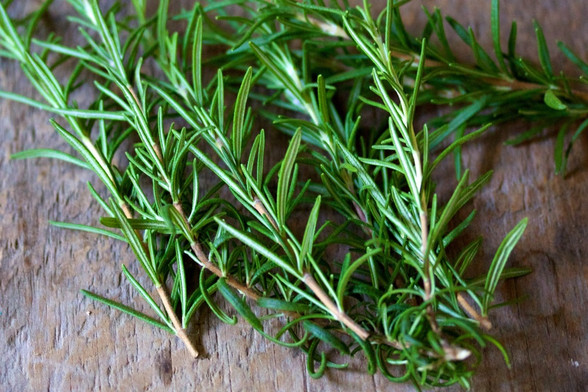 Rosemary Fused Olive Oil Rosemary Fused Olive Oil