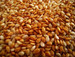 Roasted Sesame Seed Oil Roasted Sesame Seed Oil
