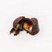 Americana Dark Chocolate Cherry Truffle