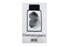 Lennon Tool Bar Chamaecyparis 30ml Fountain Pen Ink