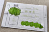 Lennon Tool Bar Maidenhair Fern 30ml Fountain Pen Ink