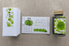 Lennon Tool Bar Maidenhair Fern 30ml Fountain Pen Ink