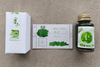 Lennon Tool Bar Matcha 30ml Fountain Pen Ink