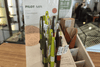 Pilot MR Chanomegumi Ballpoint Pen Light Green