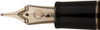 Sailor 1911 New Naginata King Eagle Gold Trim Fountain Pen