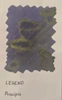 Tono&Lims Principle Legend 30ml Fountain Pen Ink