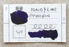 Tono&Lims Principle Legend 30ml Fountain Pen Ink