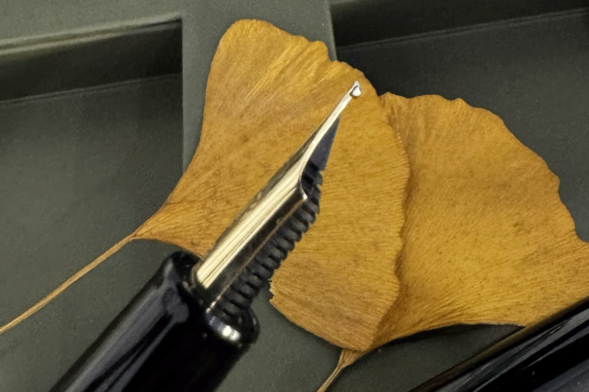 Sailor 1911 Naginata Togi Broad Fountain Pen NB