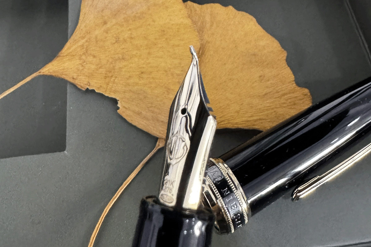 Sailor 1911 Naginata Fude Nib Fountain Pen