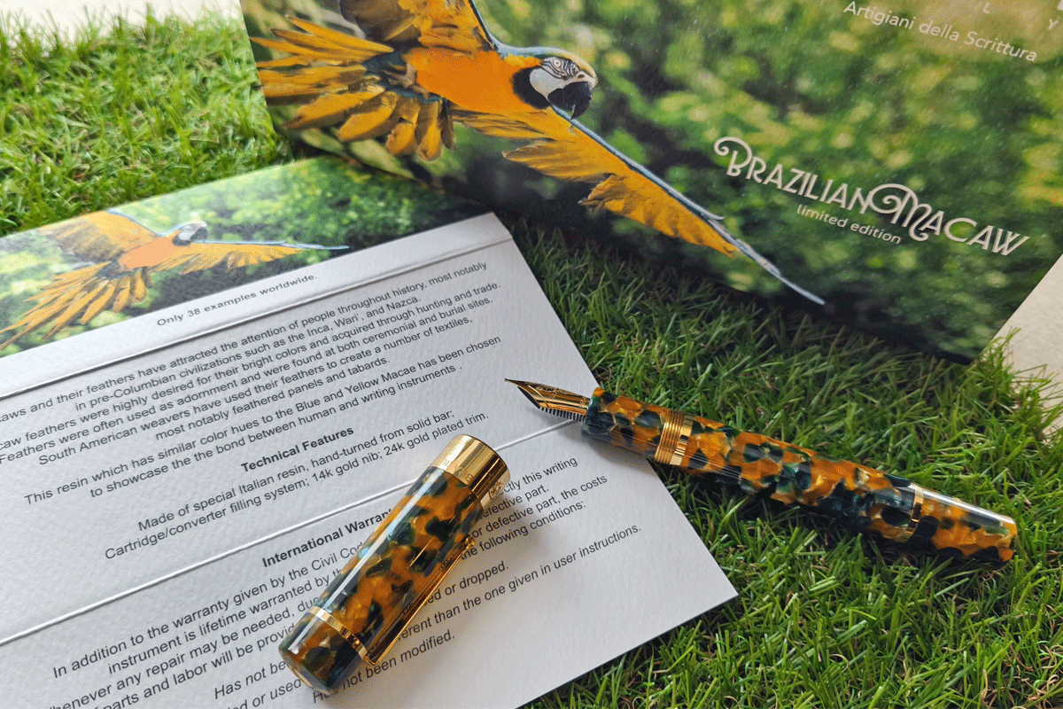 Delta Brazilian Macaw Fountain Pen L.E with Medium Nib