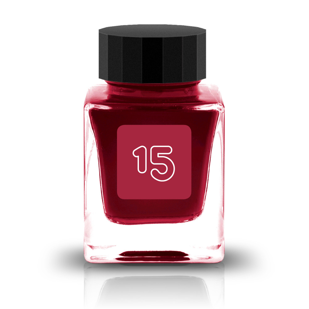 Tono&Lim Standard - How we can keep in living without respect 30ml Fountain Pen Ink