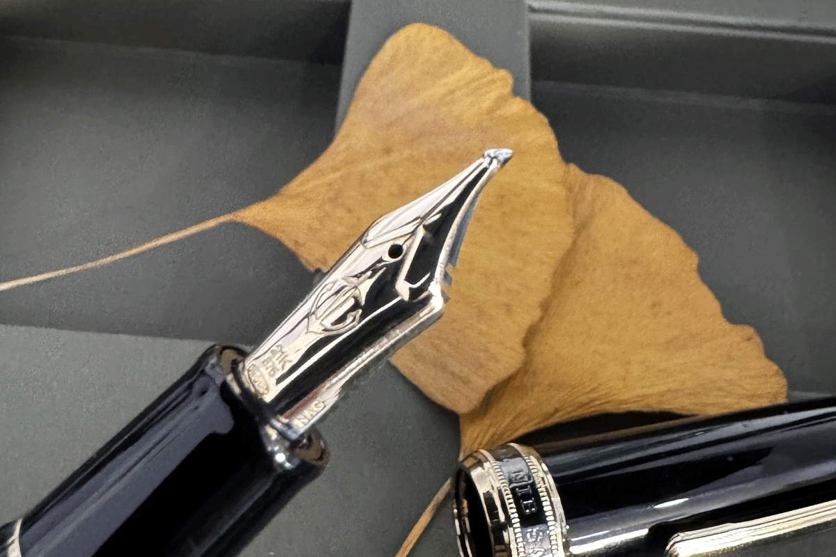 Sailor 1911 Naginata Cross Concord Nib Fountain Pen